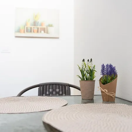 Apartamento Dream Palace *